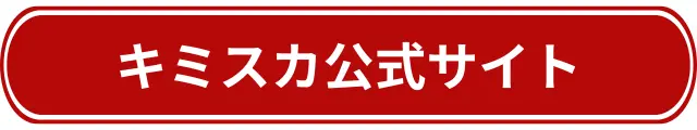 キミスカ公式サイトはこちら 自分に合った企業と出会える就活サービス